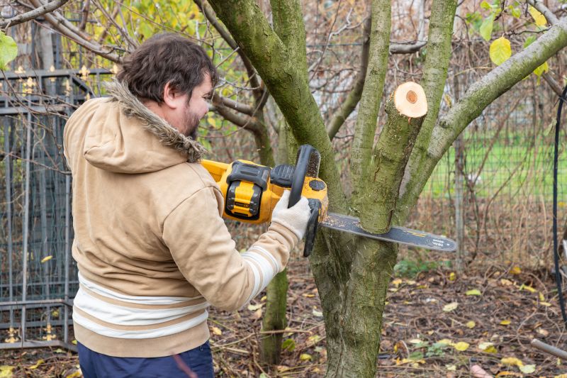Cedar Tree Trimming