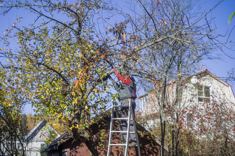 Tree Pruning detail