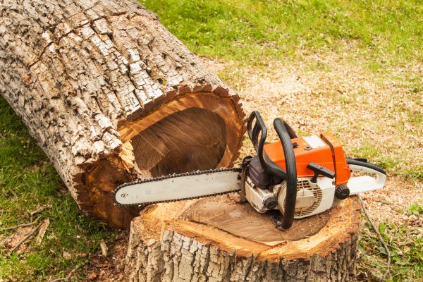 Cost of Tree Cutting Service in Battle Creek