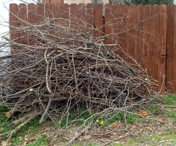 Cost of Dead Branch Removal in Battle Creek